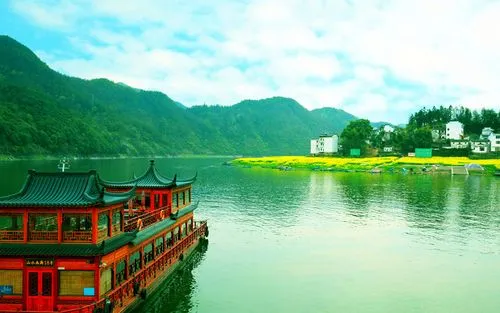 全自动高端节能